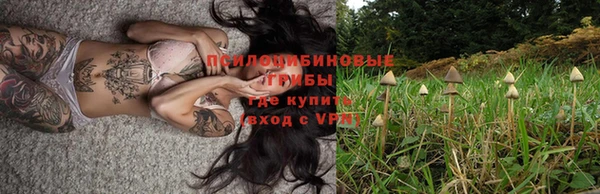 каннабис Алексин